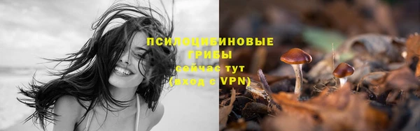 гидропоника Алексин