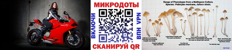 Галлюциногенные грибы мицелий  сколько стоит  Ливны 